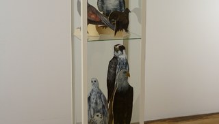 Mathilde Rosier - Bird Collection 2