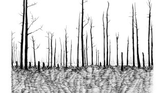 Blane De St. Croix - Landscape; Fire Series II