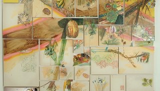 Paula Wilson - Turf