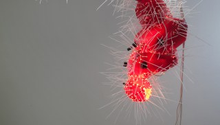 Sean Duffy - Untitled (red)