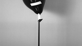 Michael Queenland - SELF