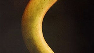Patterson Beckwith - Untitled (Intensified seeing by means of filter-photography, which, by variations of the chemical composition of the sensitized surface, permits...