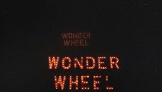 Lisa Kereszi - Wonder Wheel at night, Coney Island, NY