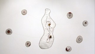 Fhung LIE - HIDDEN GROWTH III