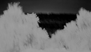 Ariel Reichman -  Route 443 ( diptych )