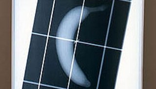 Patterson Beckwith - Untitled (Penetrative seeing by means of X-rays: radiography)