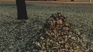 Kanako HAYASHI - BAG WORM Photograph 03