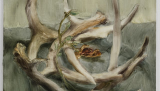 Lesley Vance - Untitled (Antlers, Magnolia)