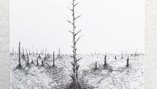 Blane De St. Croix - Landscape; Fire Series