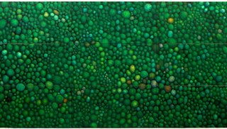 Gustavo Araujo - Bosque