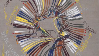 Marcos Lutyens - Alarm Intensities Shared Cognition