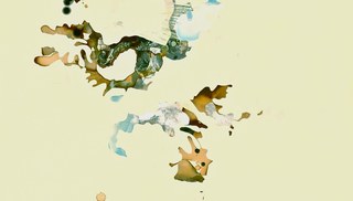 Theresa Hackett - Drawing 2011 #2