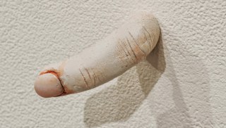Claire Cowie - Finger Wall