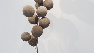 Kristi Lippire - Balloons