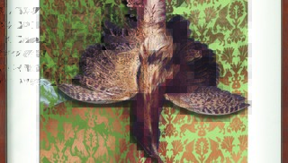 Tom Gallant - Still Life with Fowl (After Cuyck van Myerop Frans)