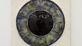 Julia Pfeiffer - Iris Study (Blue, Green, Brown)