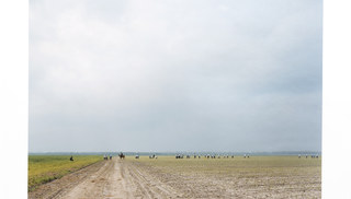 Alec Soth - The Farm, Angola State Prison, LA, from the series Sleeping by the Mississippi