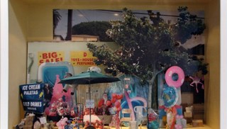 Kristi Lippire - American Wholesame: 6 months of documentation