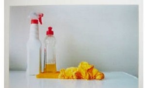 Alexandre da Cunha - Still Life (Cleaning)