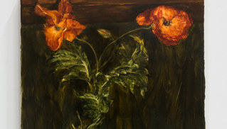 Lesley Vance - Poppies Against Rafter