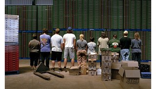 Amy CHEUNG - Tomato Factory