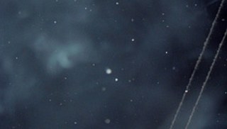 Michael Queenland - Untitled