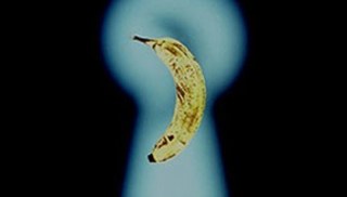 Patterson Beckwith - Untitled (Distorted seeing: optical jokes)